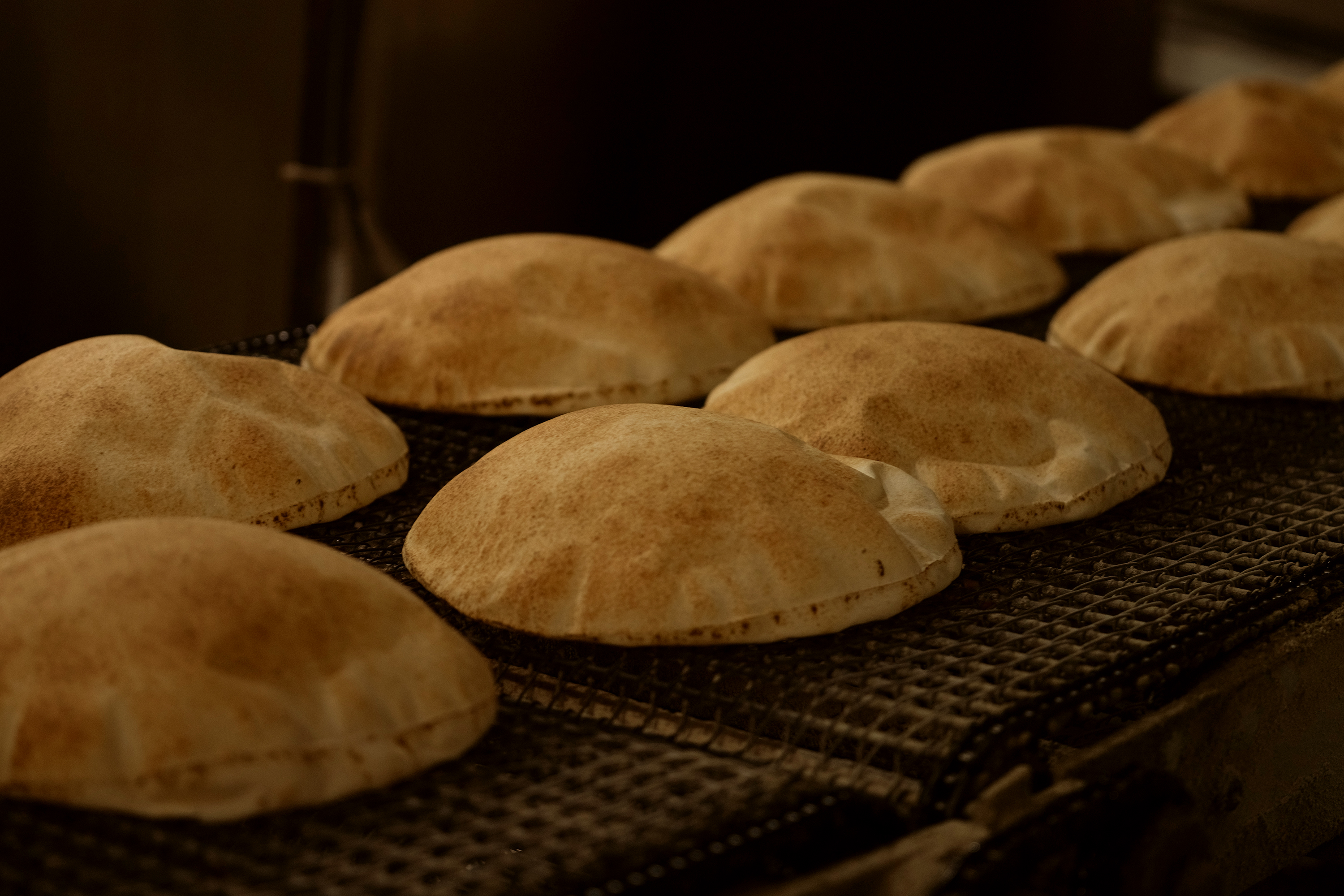 Arabic Bread Large